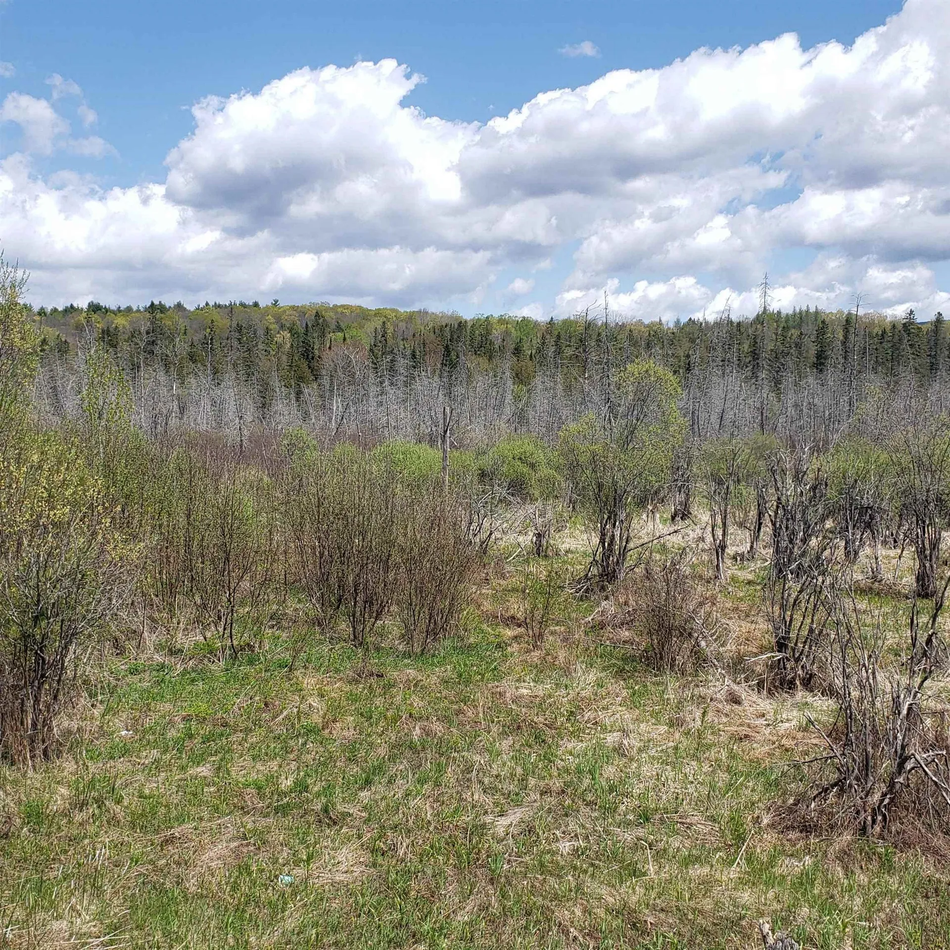 Tbd Vt Us Route 302 Barre Town VT 05641