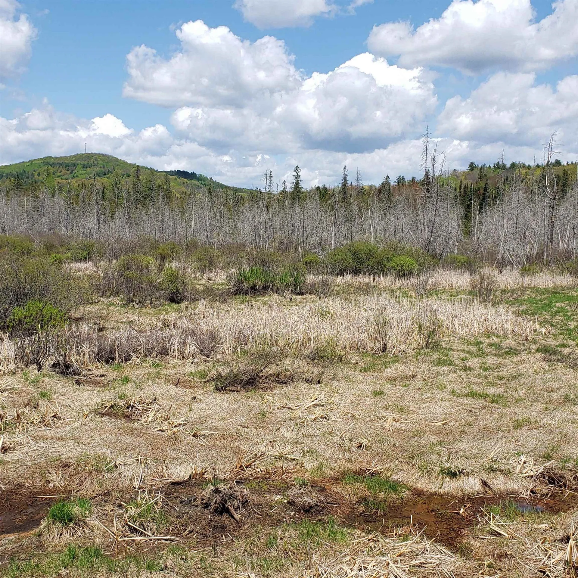 Tbd Vt Us Route 302 Barre Town VT 05641