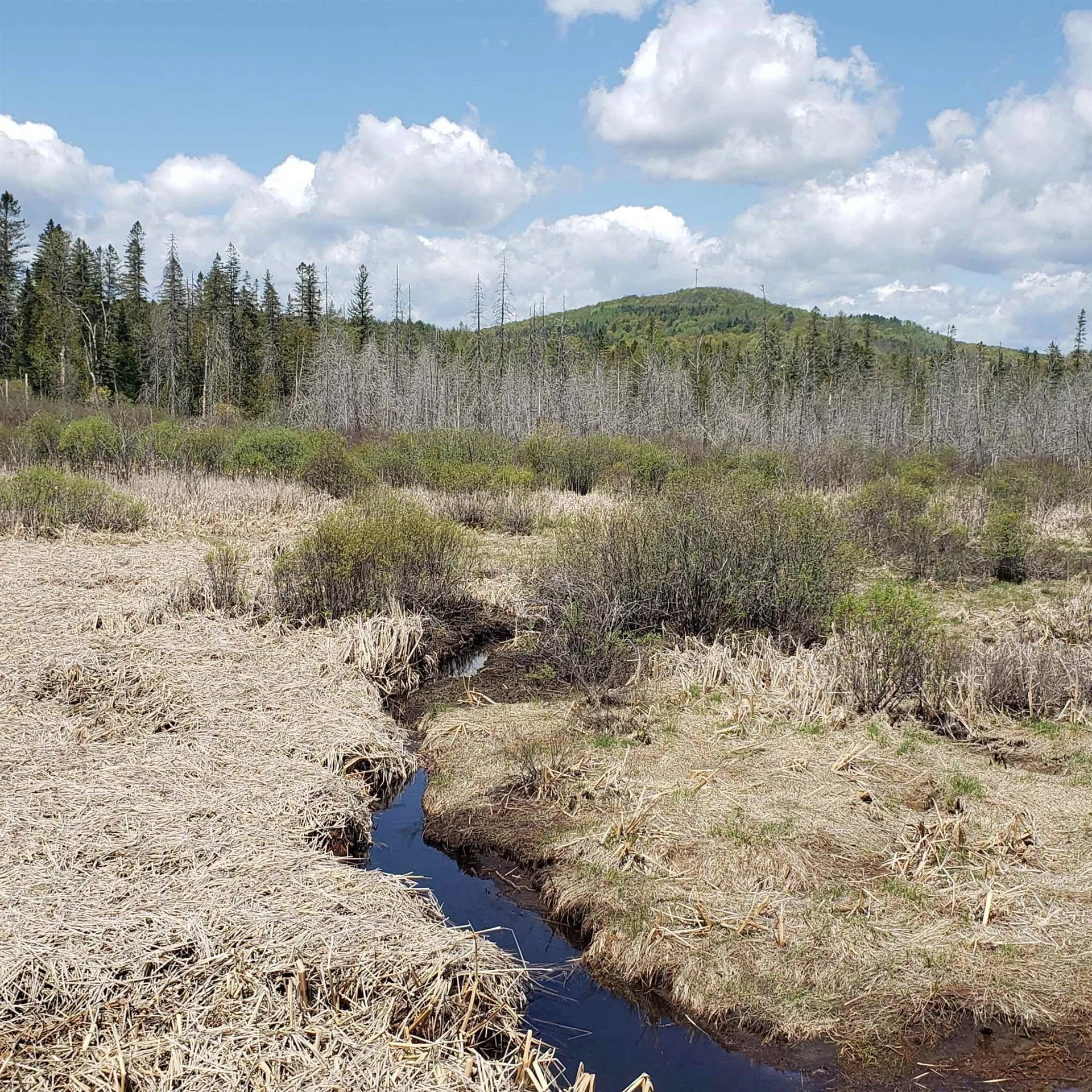 Tbd Vt Us Route 302 Barre Town VT 05641