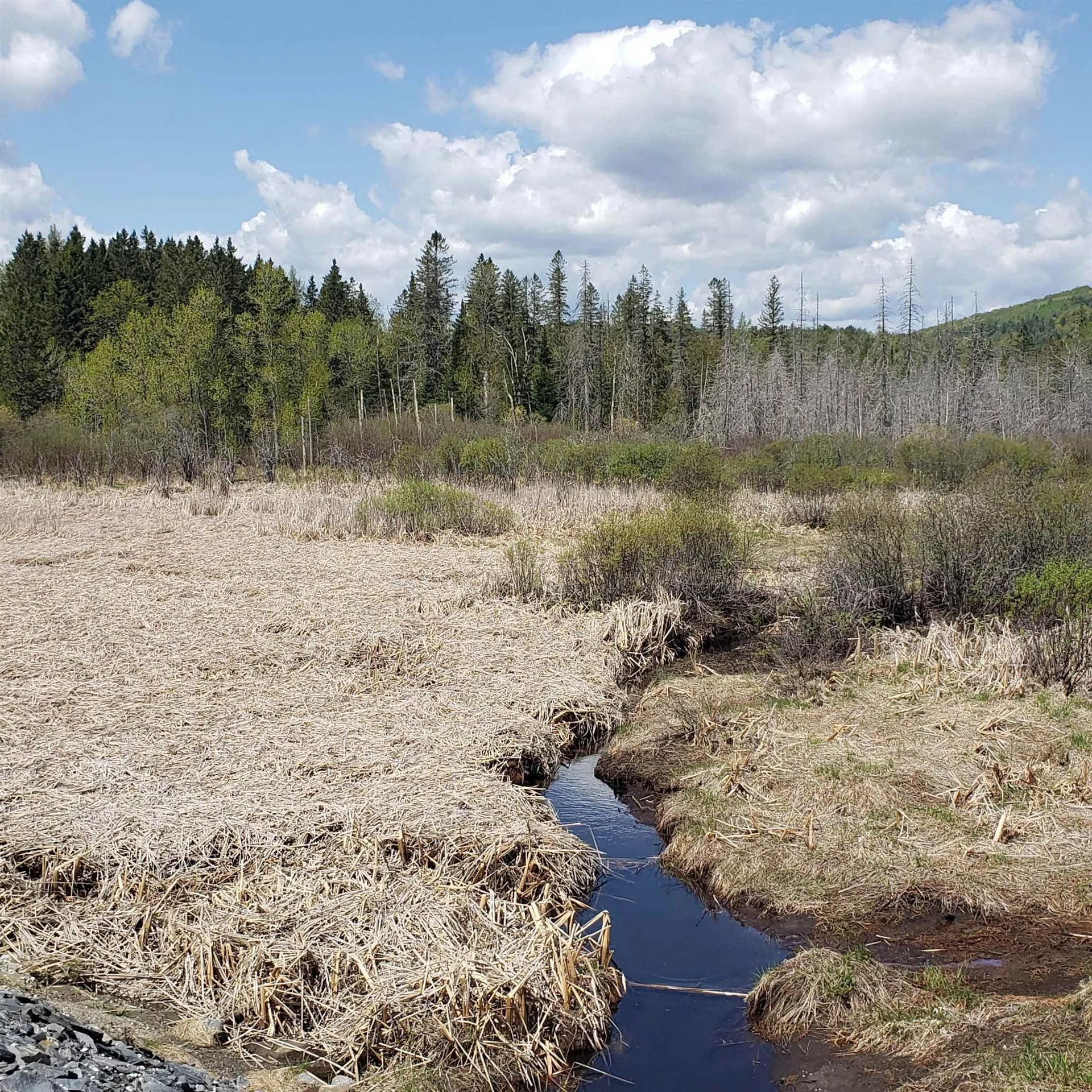 Tbd Vt Us Route 302 Barre Town VT 05641