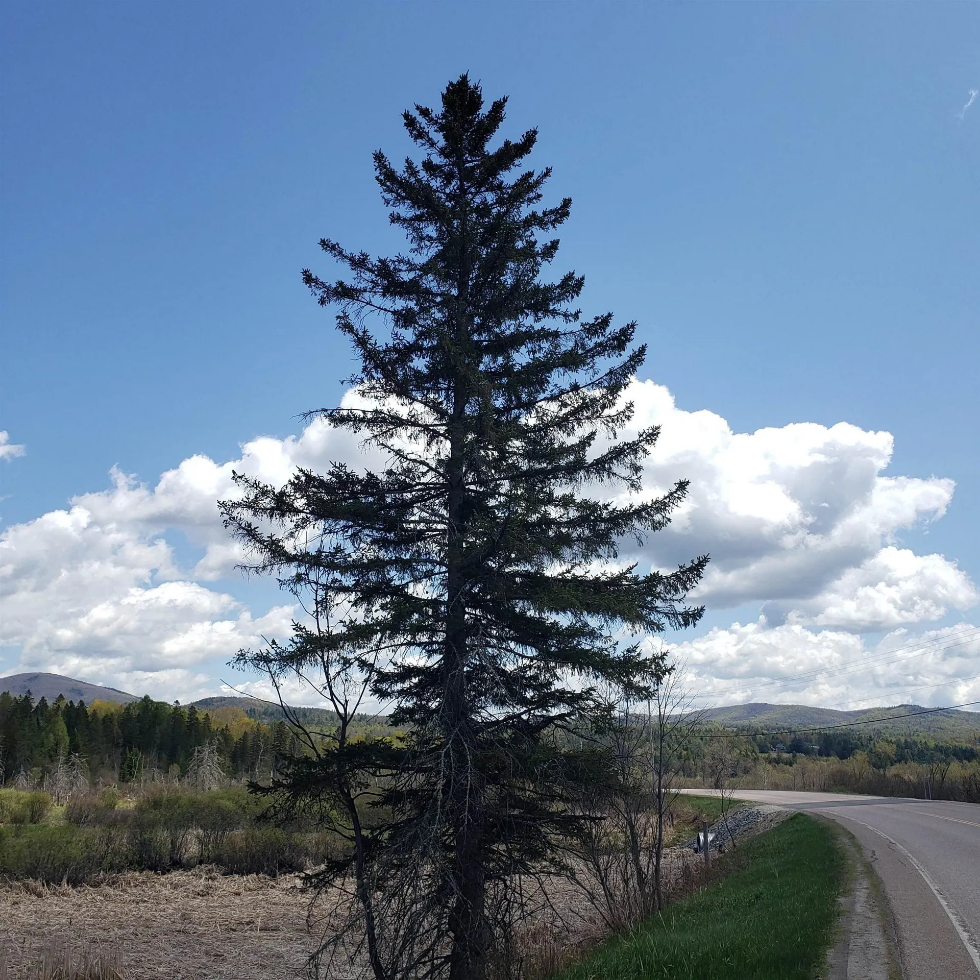 Tbd Vt Us Route 302 Barre Town VT 05641