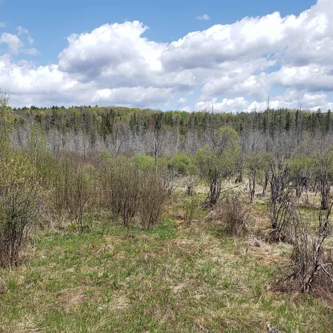 Tbd Vt Us Route 302 Barre Town VT 05641