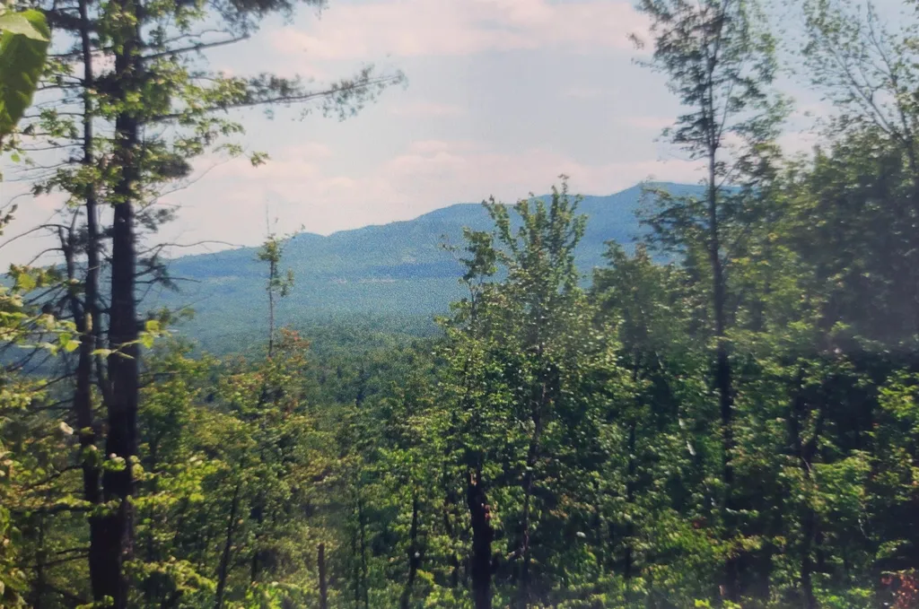Hammond Hill Road Bridgewater NH 03222
