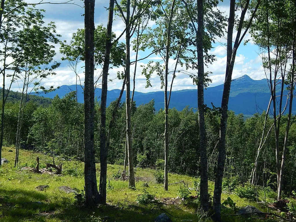 0 White Mountain Off Highway Tamworth NH 03886