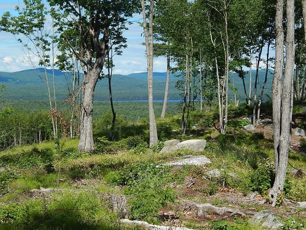 0 White Mountain Off Highway Tamworth NH 03886