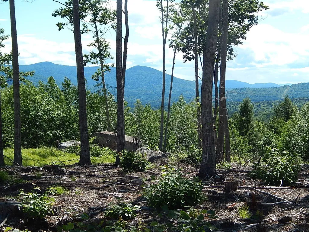 0 White Mountain Off Highway Tamworth NH 03886