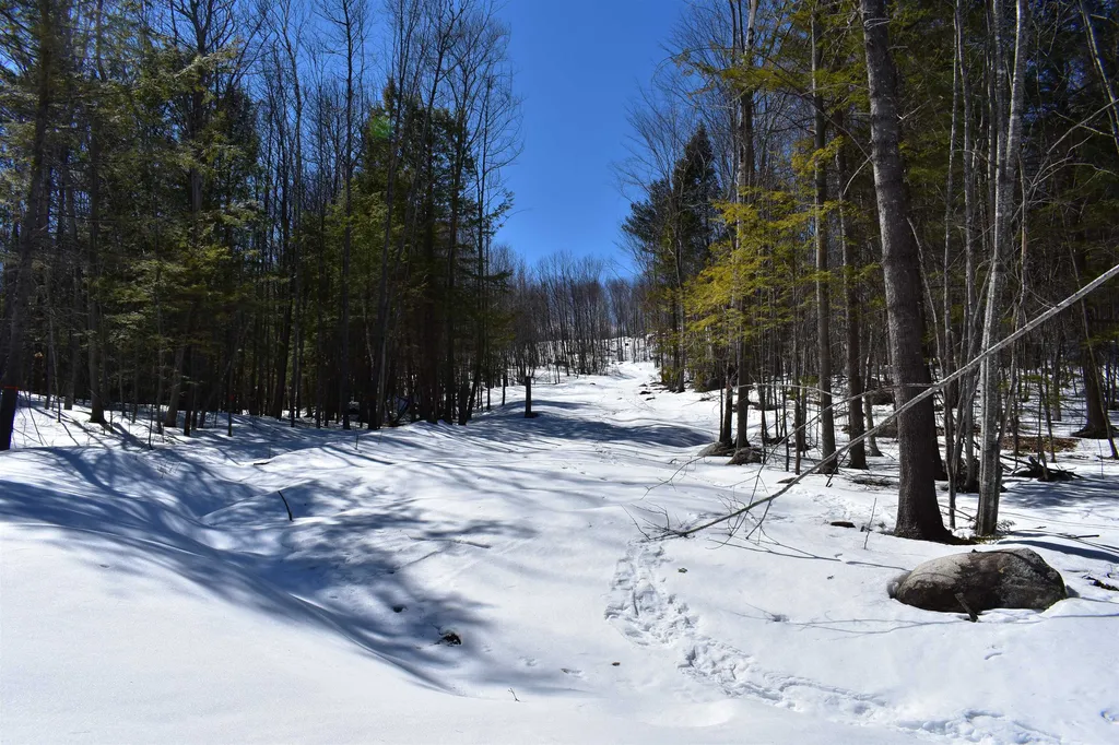 0 White Mountain Off Highway Tamworth NH 03886
