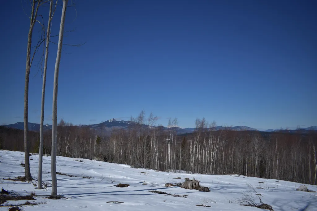 0 White Mountain Off Highway Tamworth NH 03886