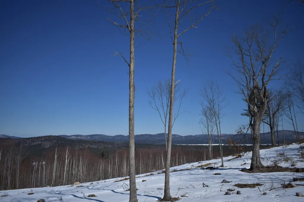 0 White Mountain Off Highway Tamworth NH 03886