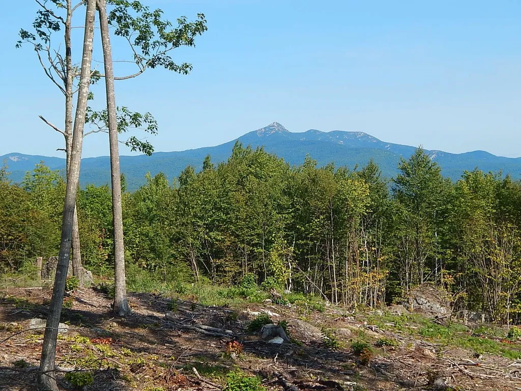 0 White Mountain Off Highway Tamworth NH 03886