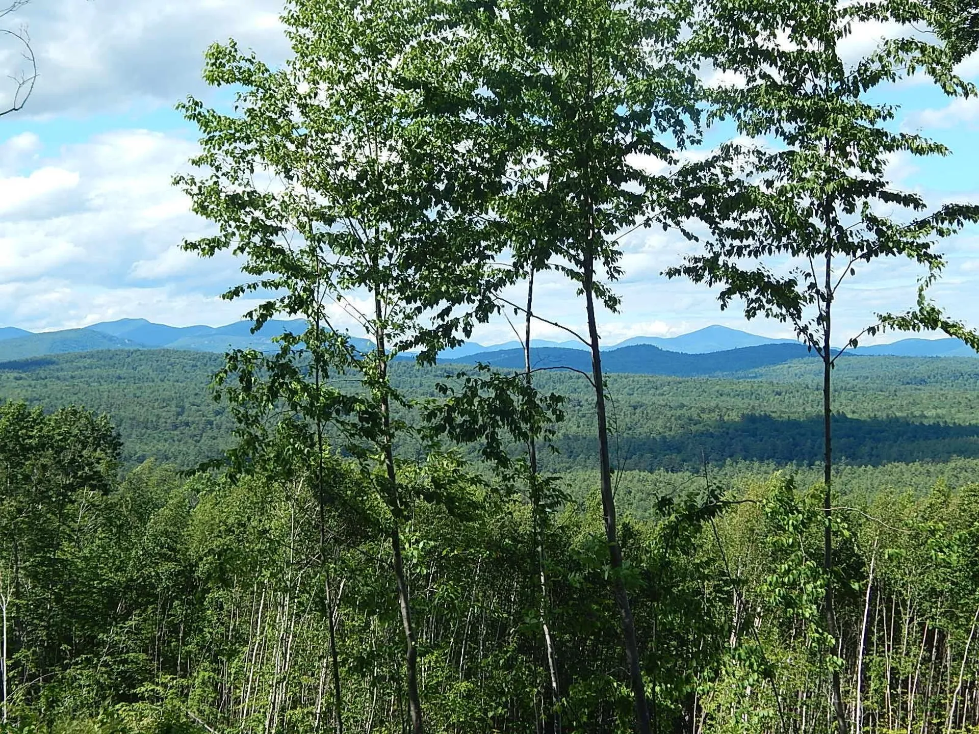 0 White Mountain Off Highway Tamworth NH 03886