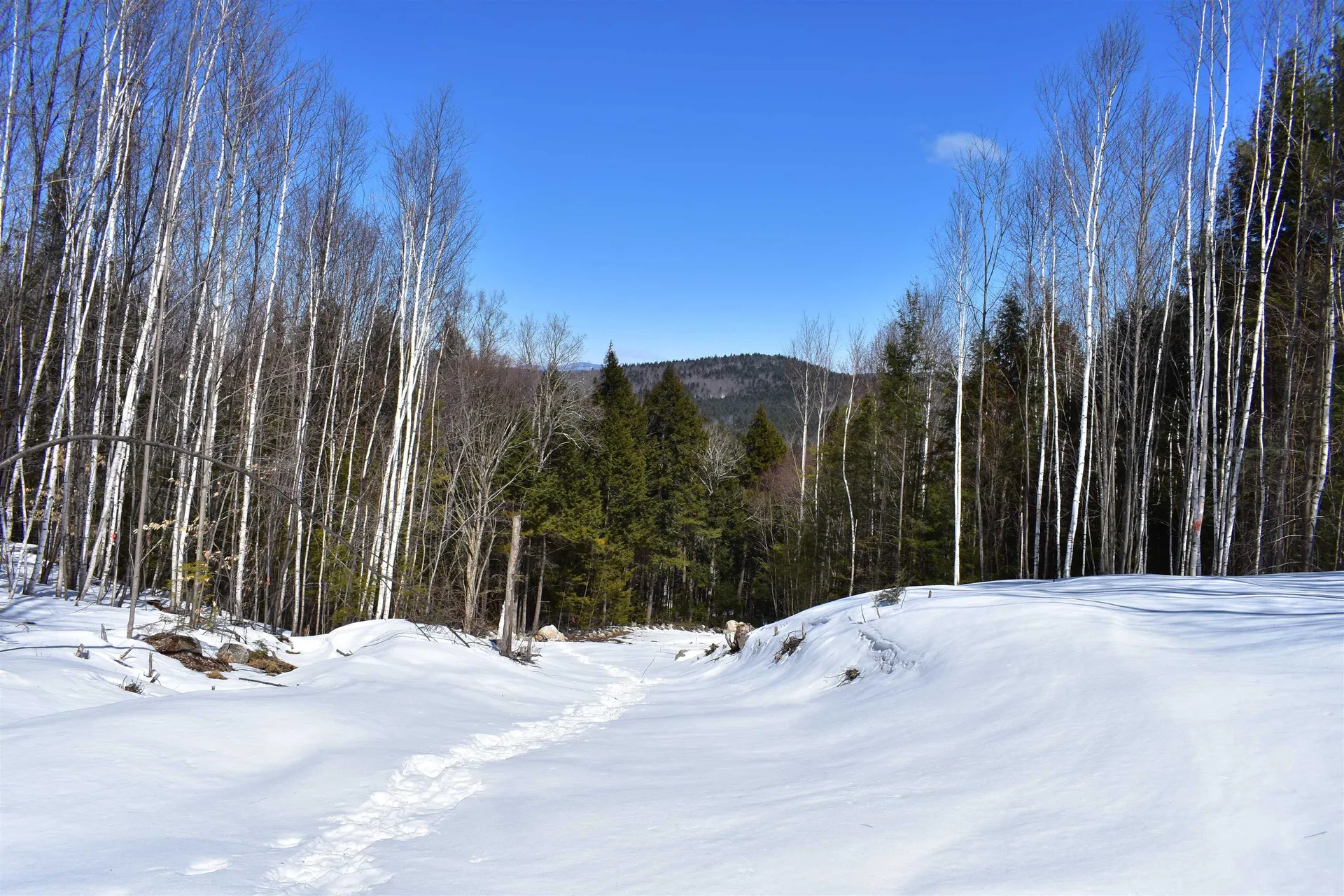 0 White Mountain Off Highway Tamworth NH 03886