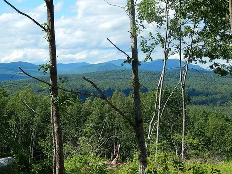 0 White Mountain Off Highway Tamworth NH 03886