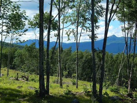 0 White Mountain Off Highway Tamworth NH 03886