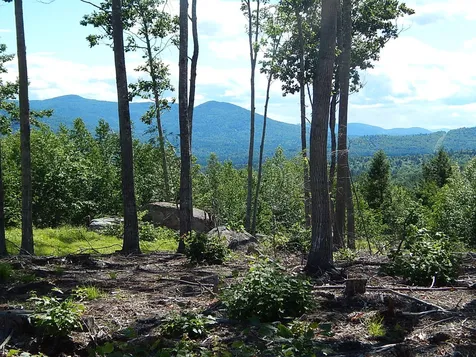 0 White Mountain Off Highway Tamworth NH 03886