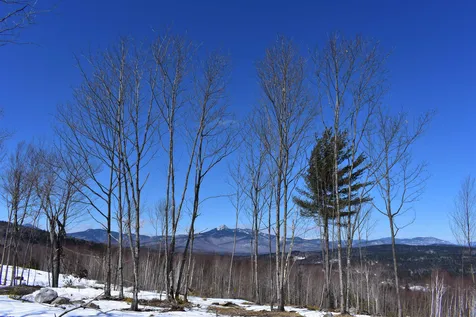 0 White Mountain Off Highway Tamworth NH 03886