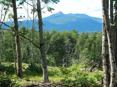 0 White Mountain Off Highway Tamworth NH 03886