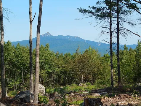 0 White Mountain Off Highway Tamworth NH 03886