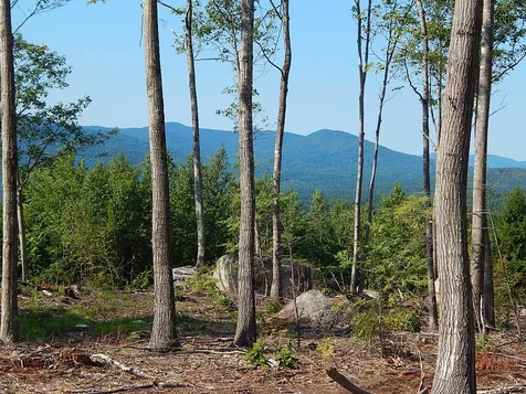 0 White Mountain Off Highway Tamworth NH 03886