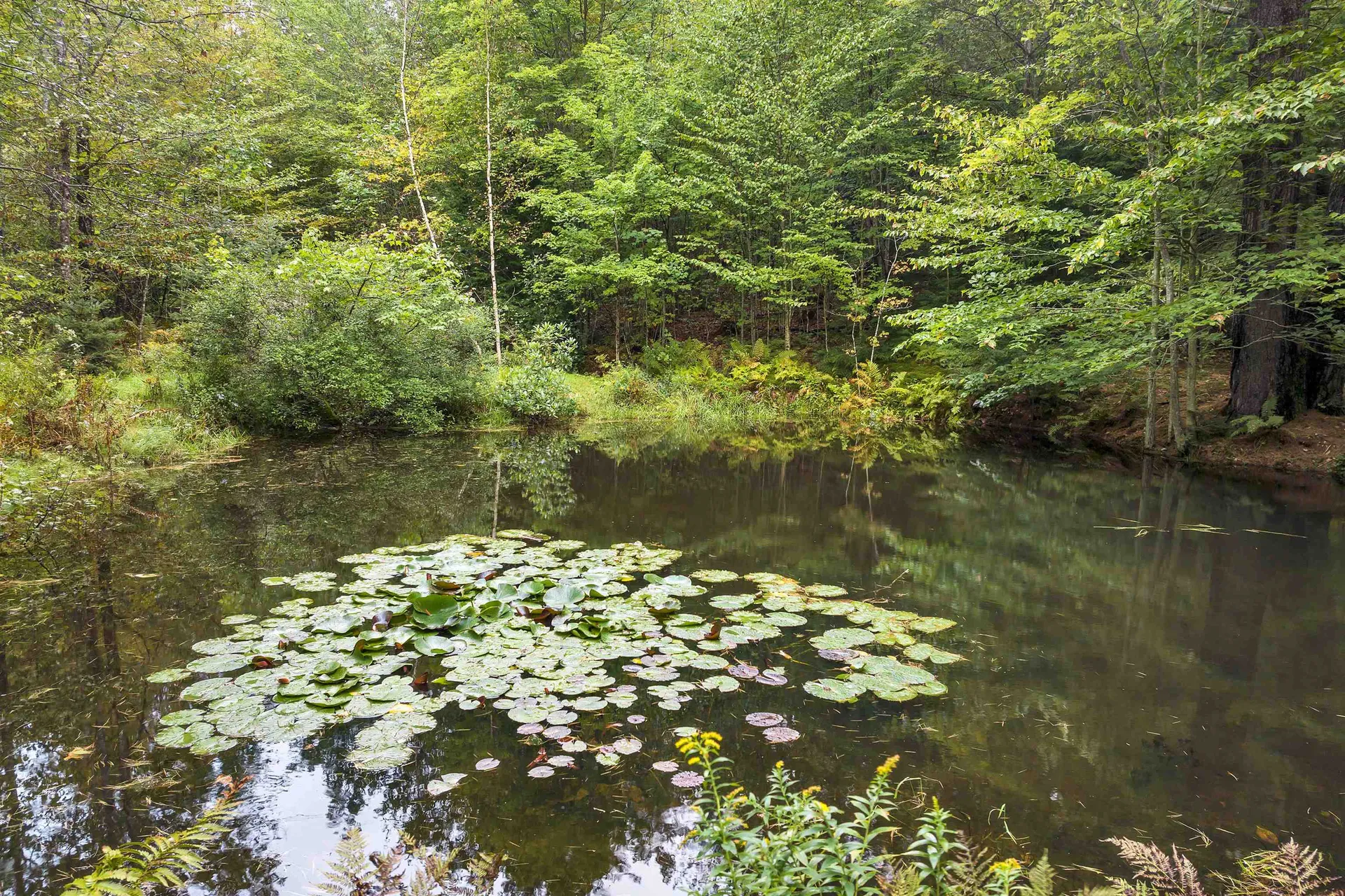 30 Hermit Woods Road Meredith NH 03253