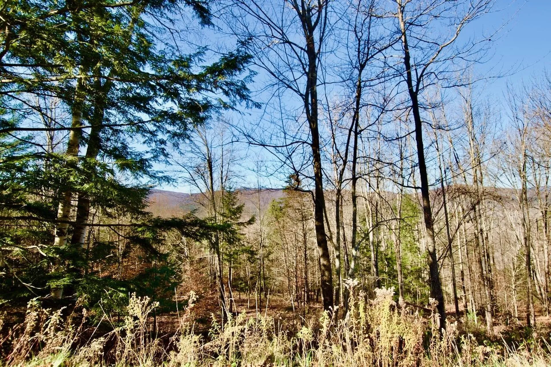 Lot 3 Ashland Woods Road Moretown VT 05676