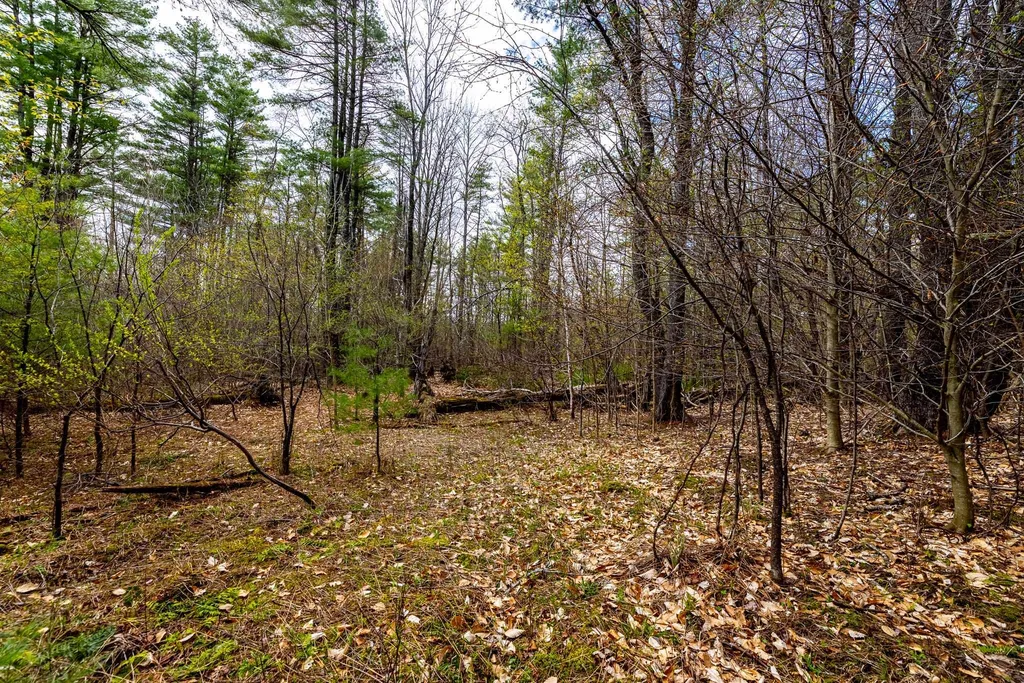 0a Morgan Road Hanover NH 03755