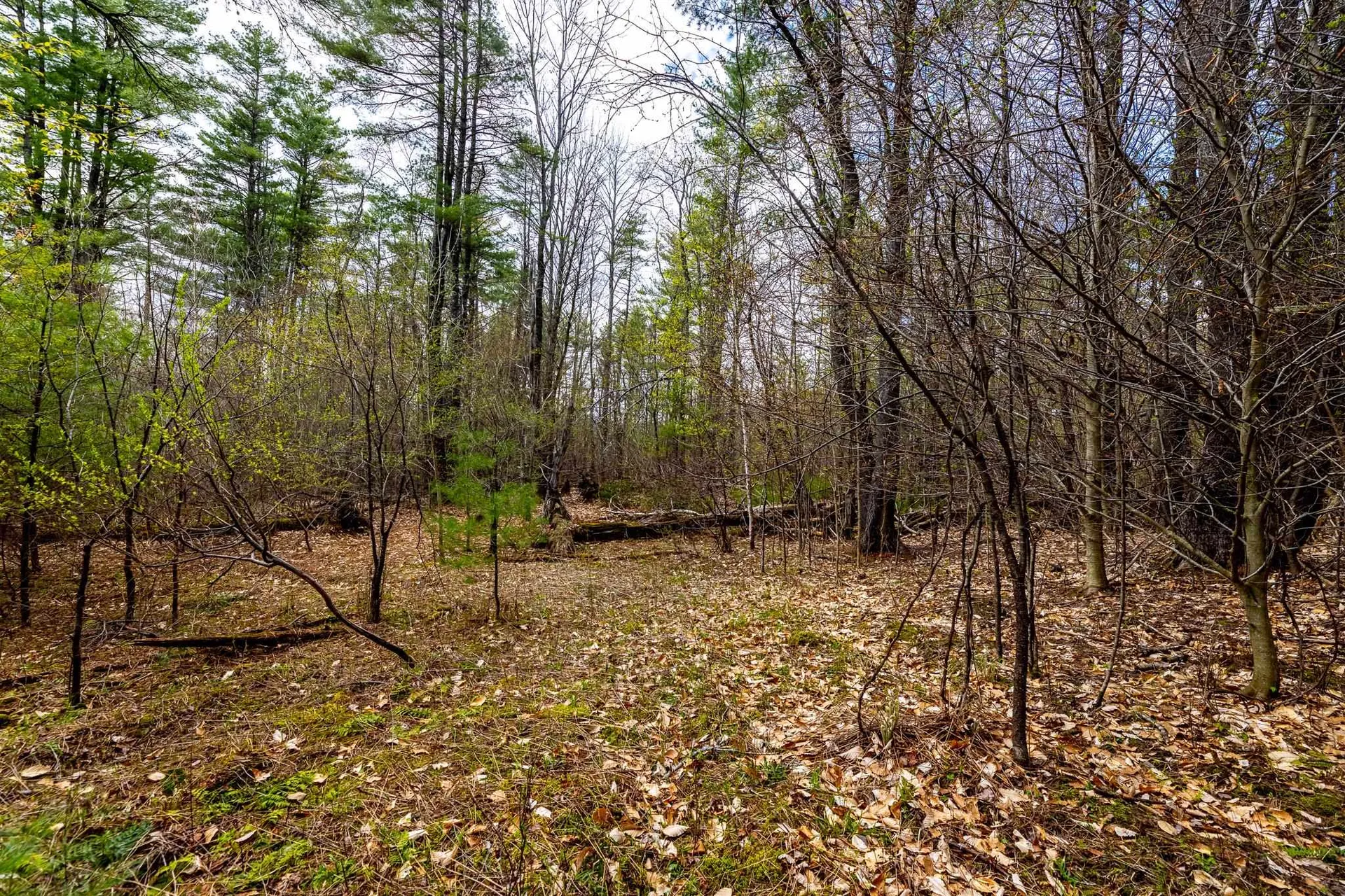 0a Morgan Road Hanover NH 03755