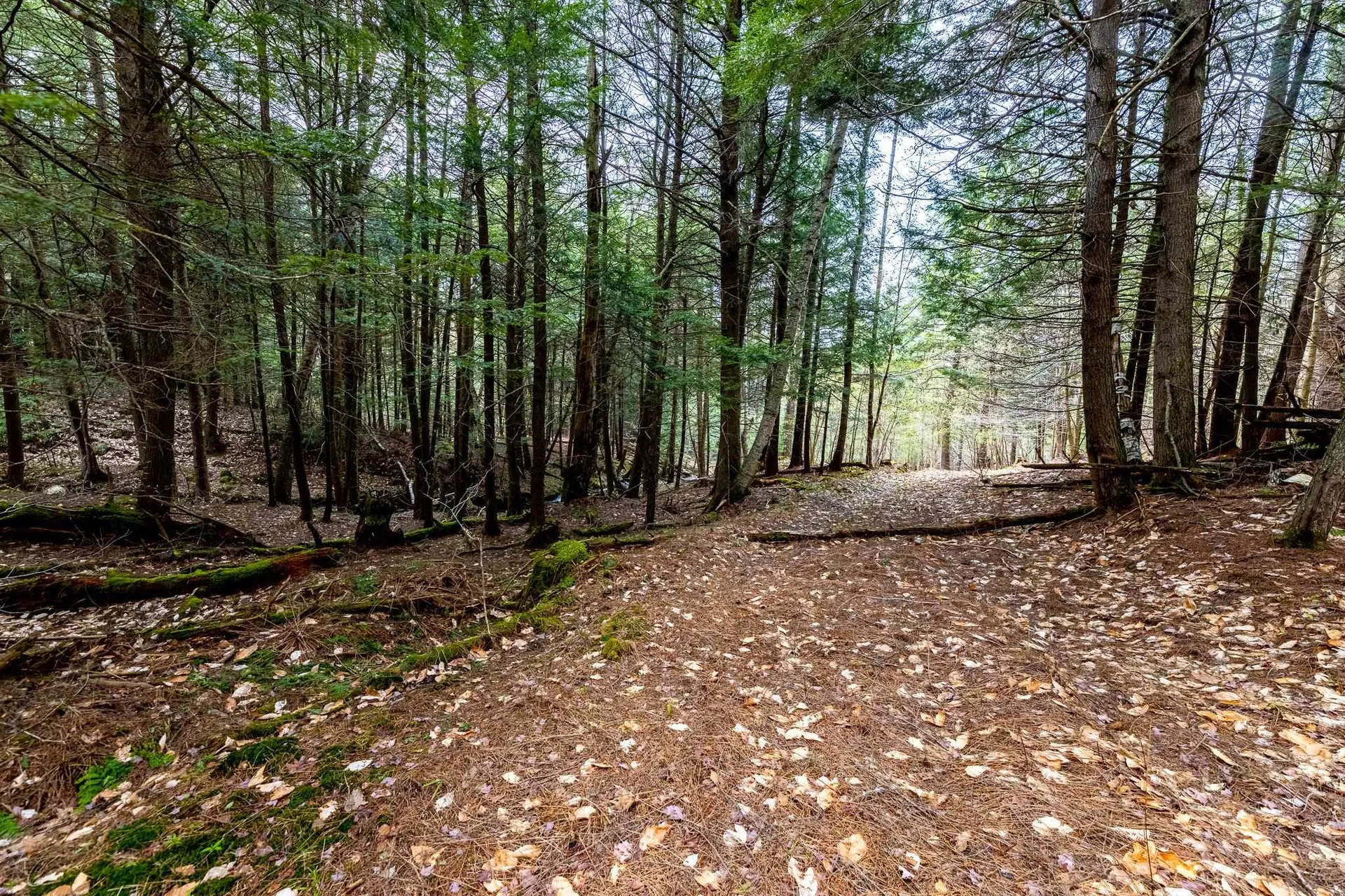 0a Morgan Road Hanover NH 03755