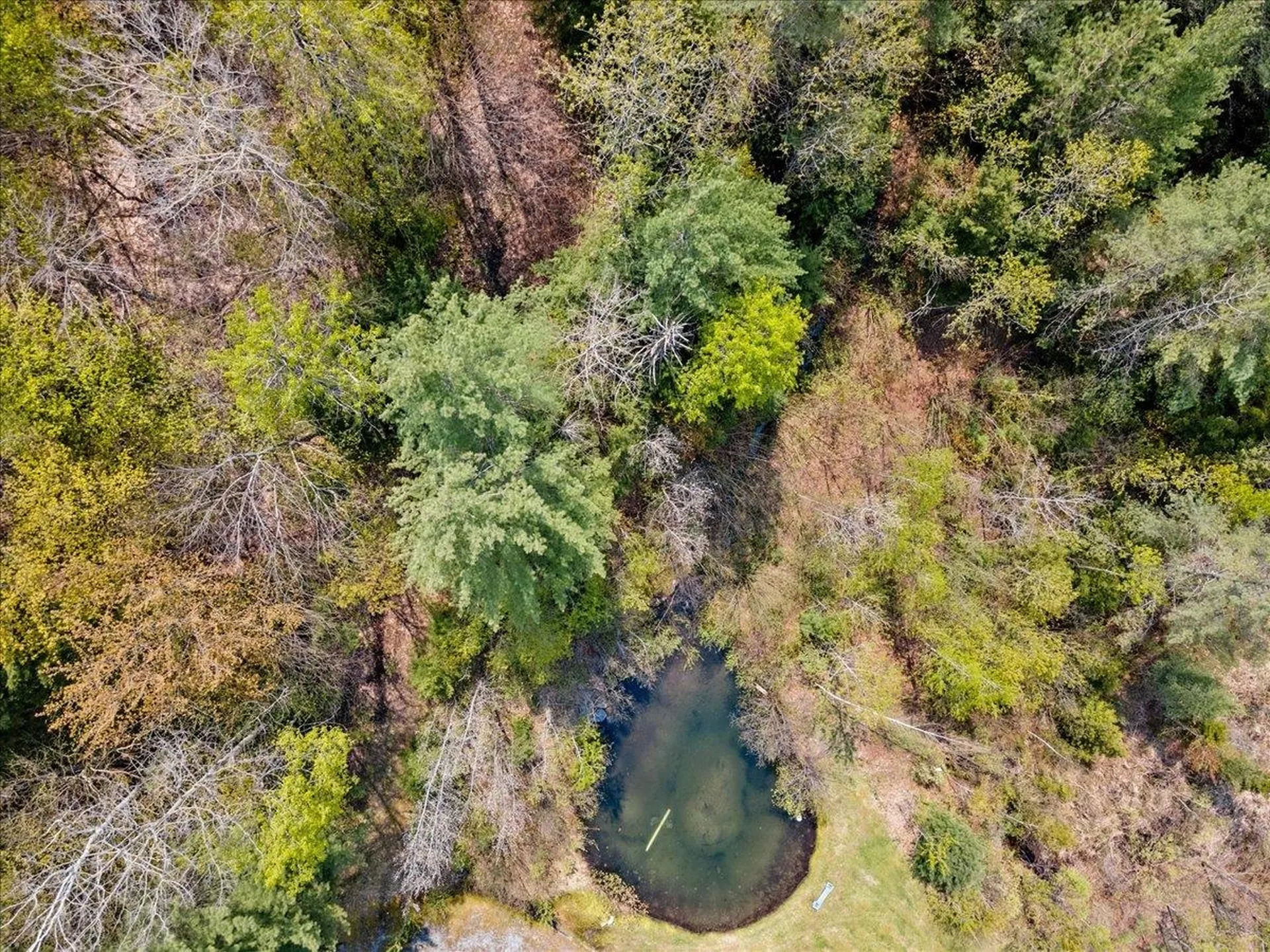 0 Megans Way Stowe VT 05672