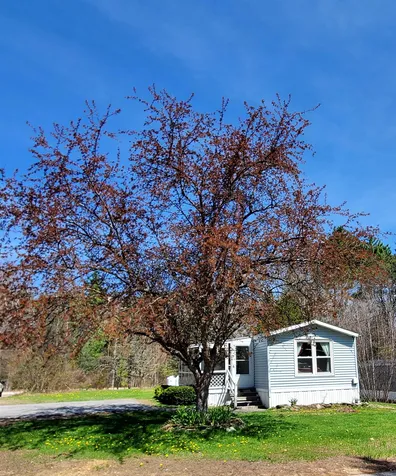 17 Pine Hill Road Tilton NH 03276