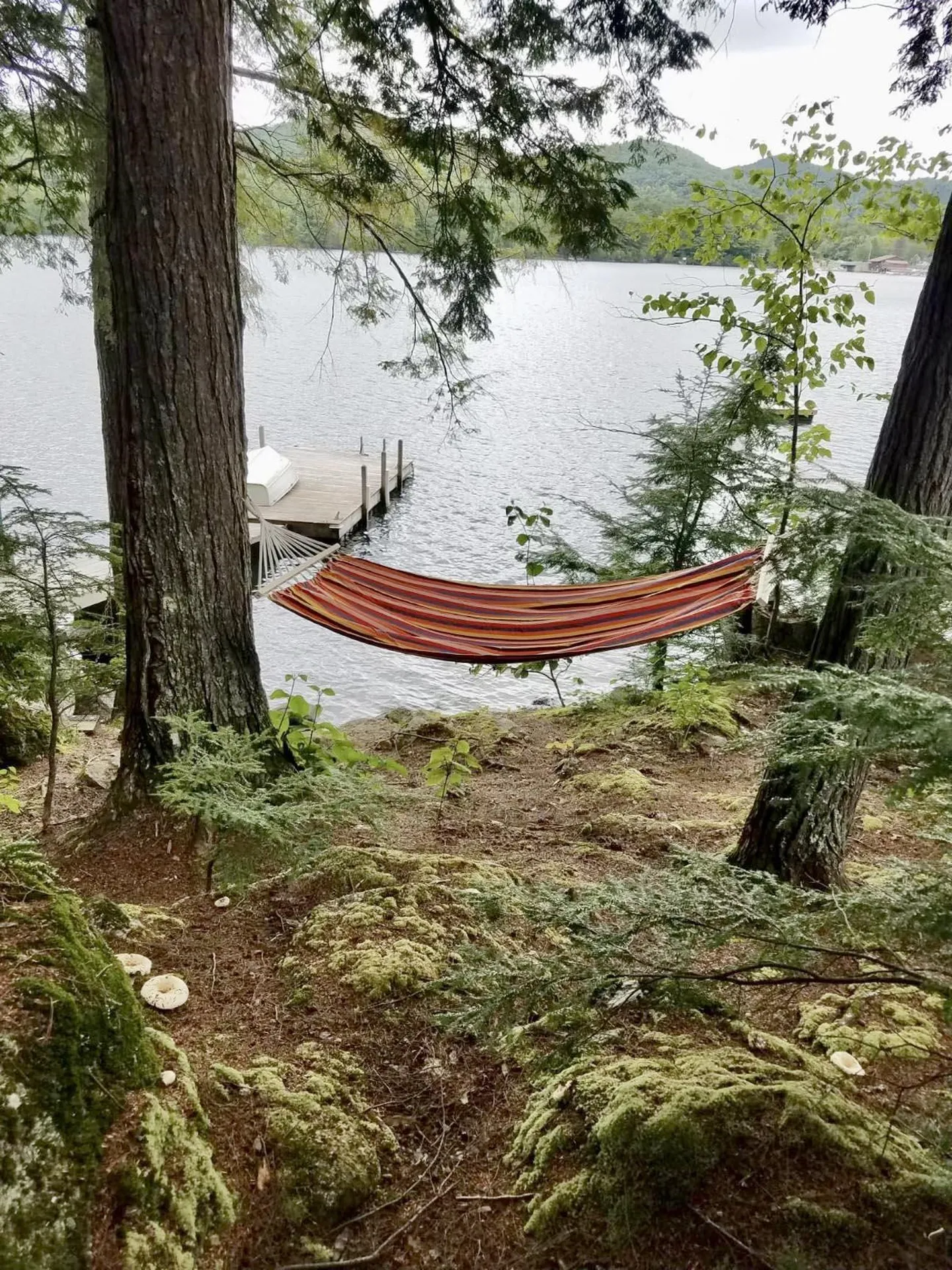 16 Hemlock Way Holderness NH 03245
