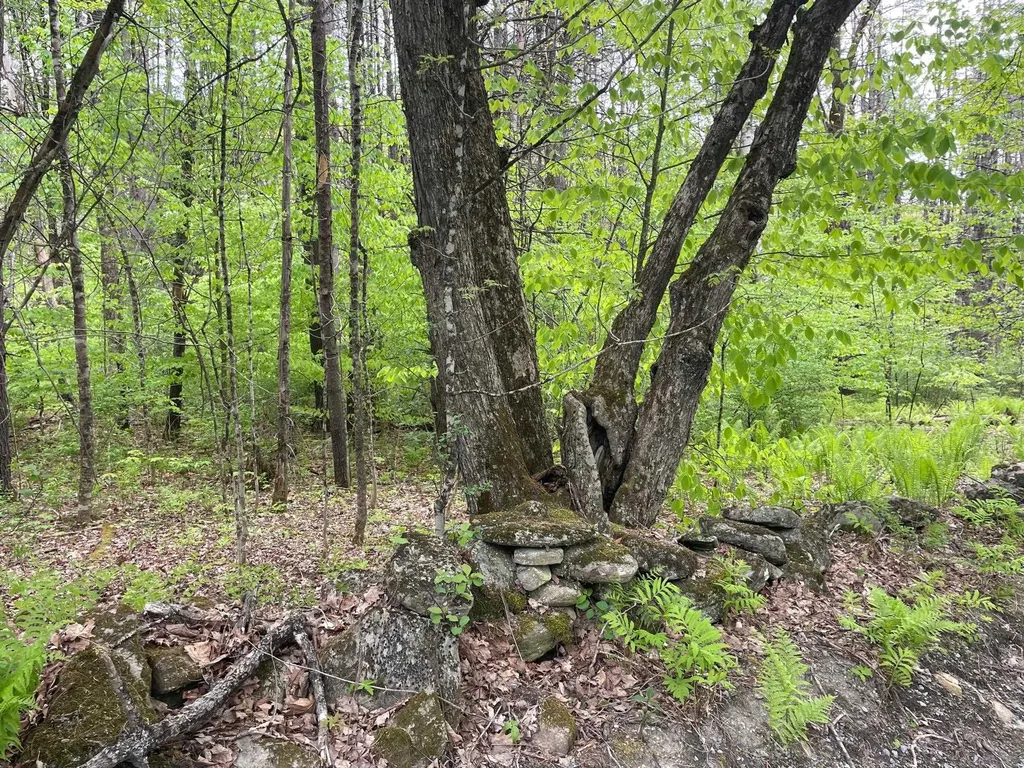 00 Poor Farm Road Thetford VT 05075