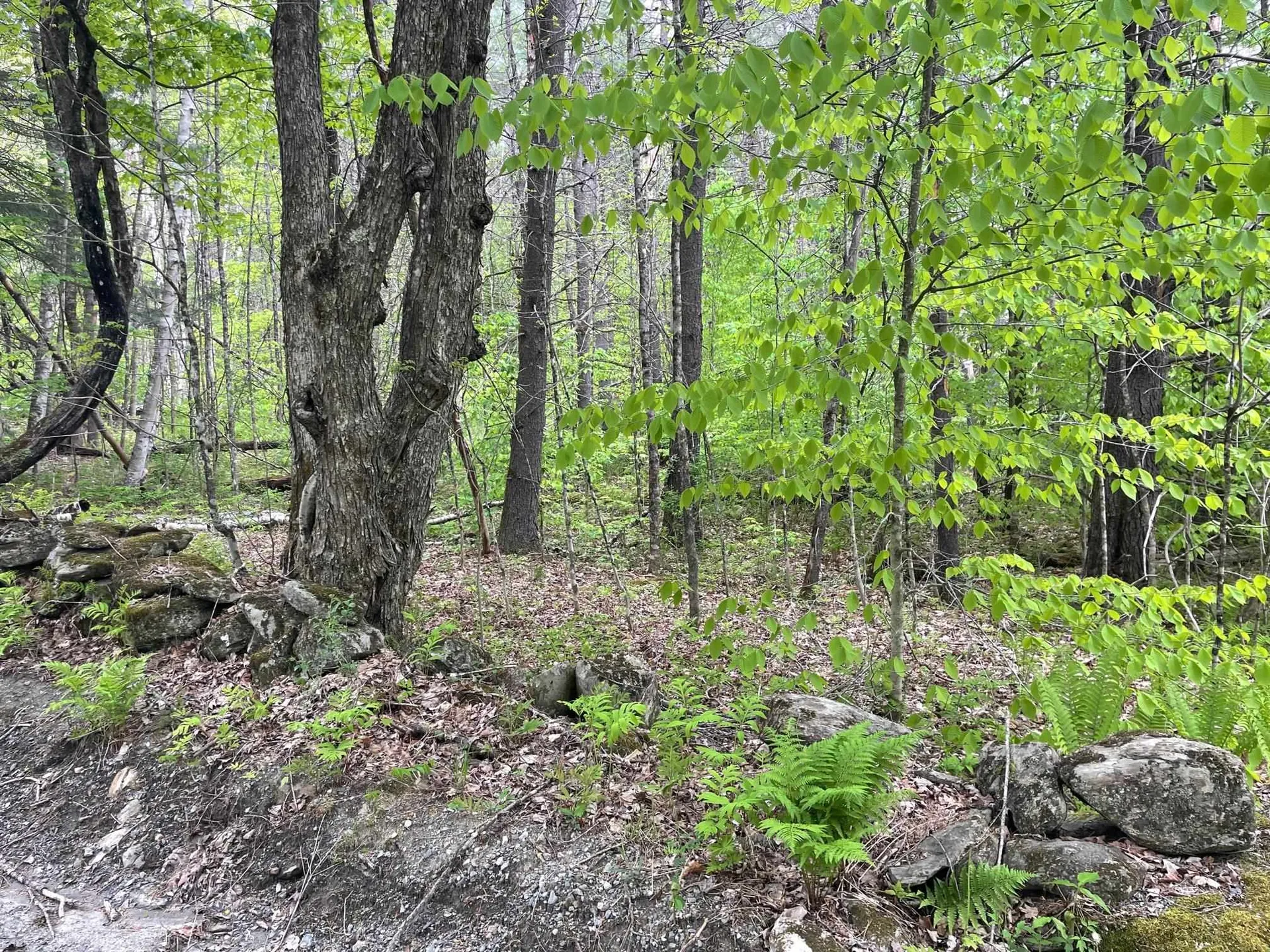 00 Poor Farm Road Thetford VT 05075
