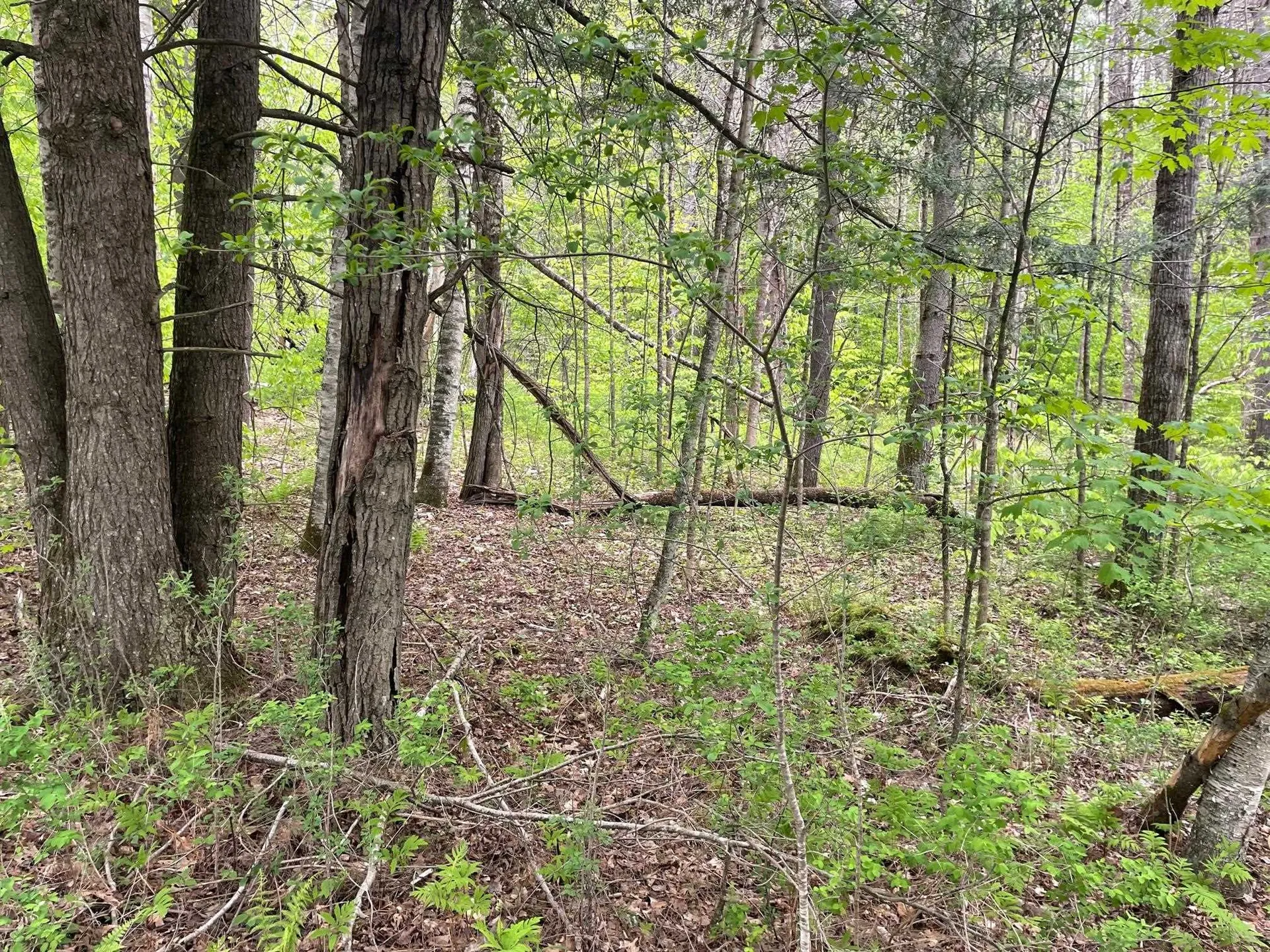 00 Poor Farm Road Thetford VT 05075
