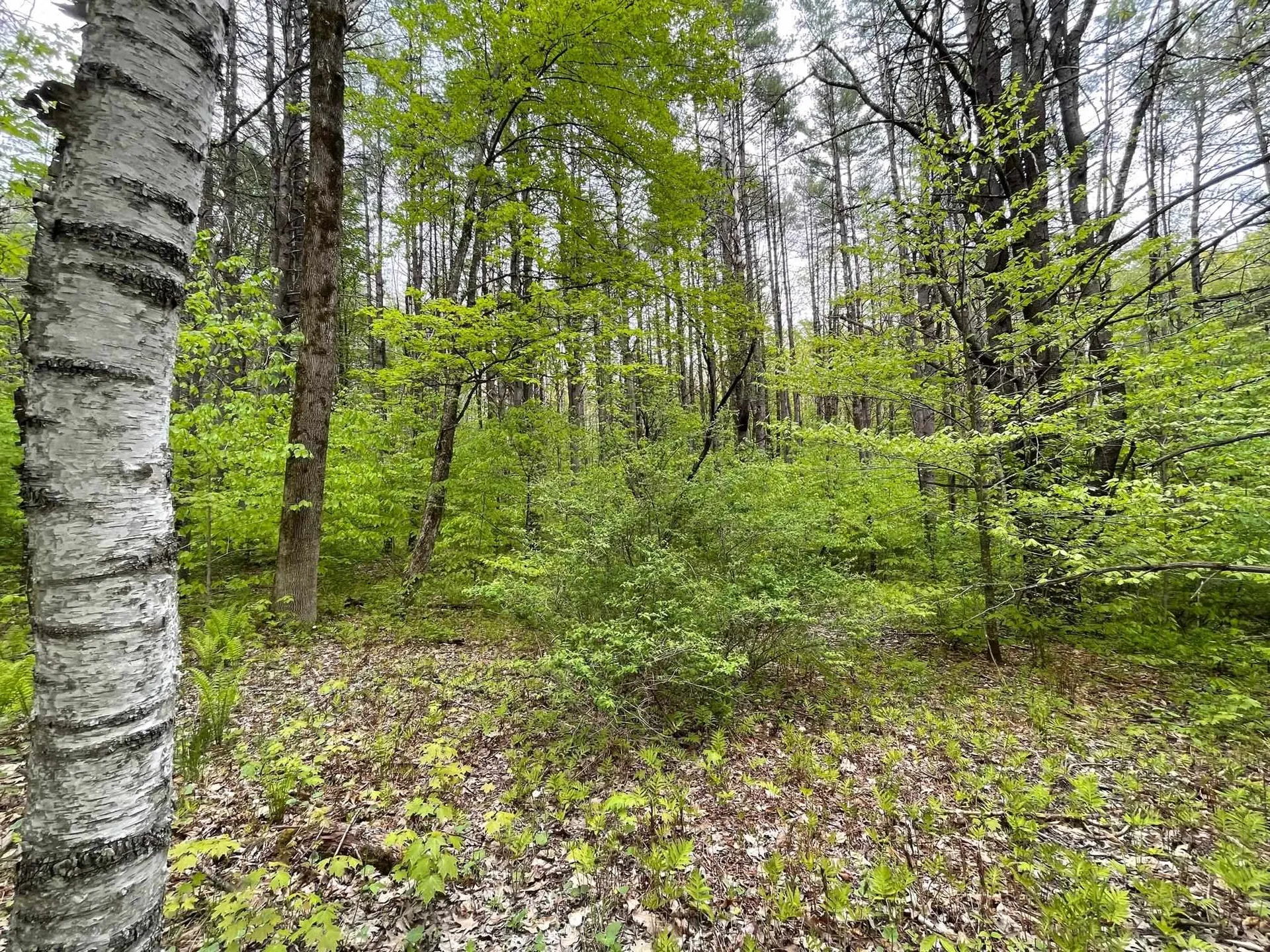 00 Poor Farm Road Thetford VT 05075