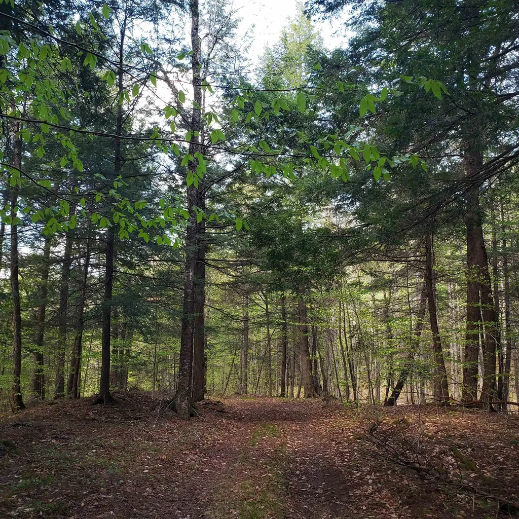 Tbd Waits River Road Bradford VT 05033
