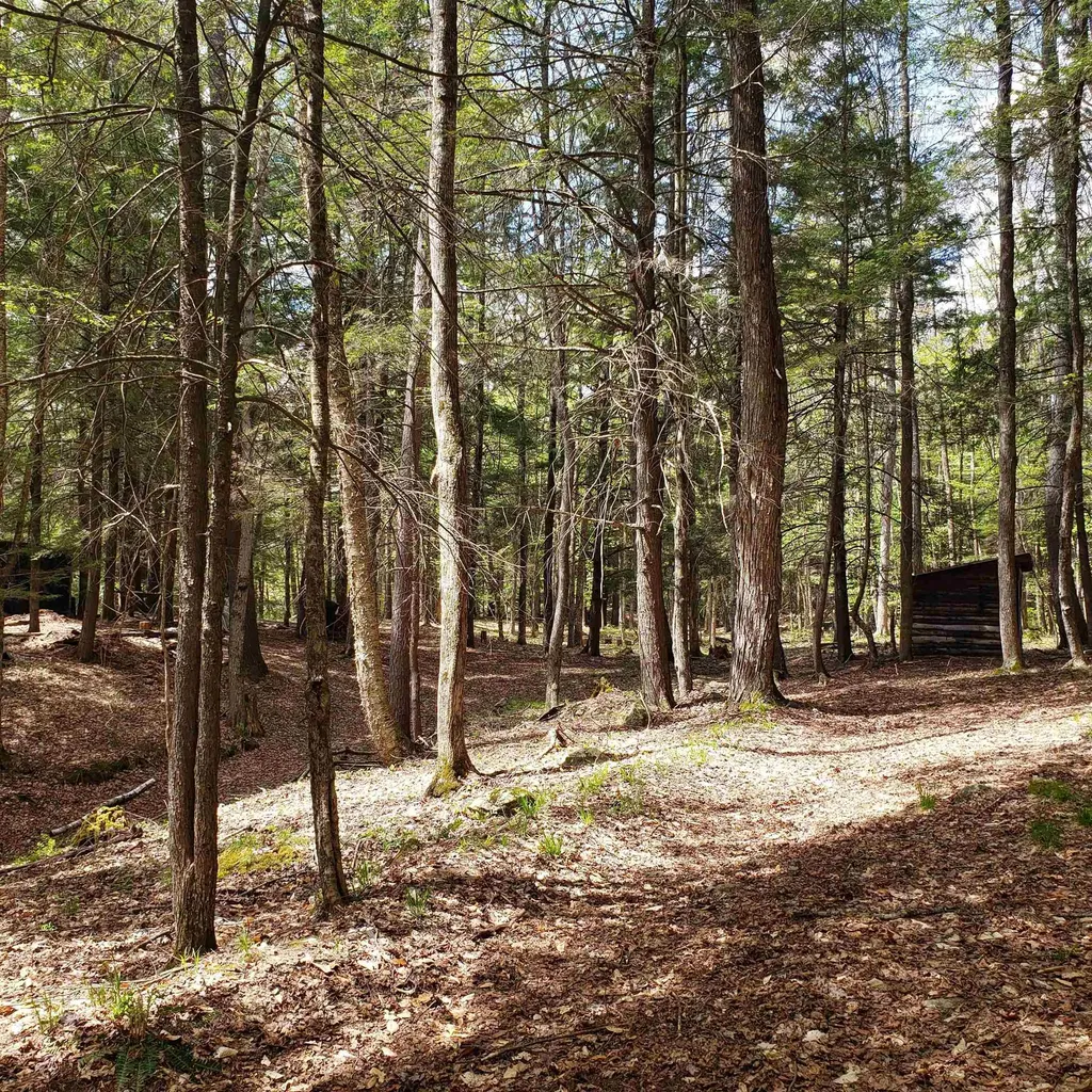 Tbd Waits River Road Bradford VT 05033