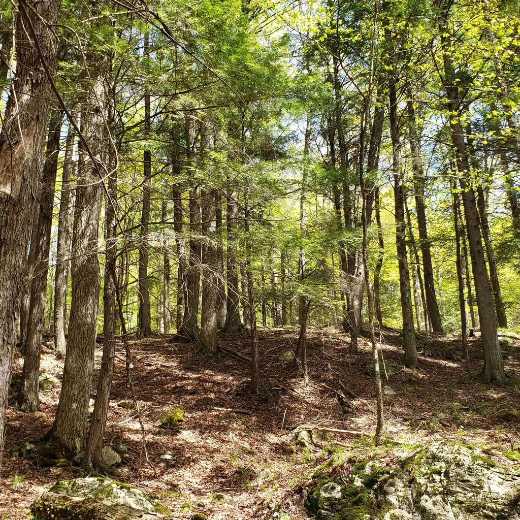 Tbd Waits River Road Bradford VT 05033