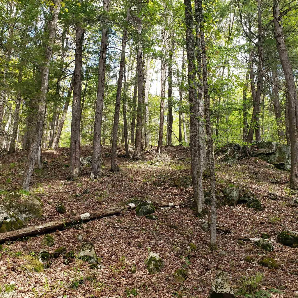 Tbd Waits River Road Bradford VT 05033