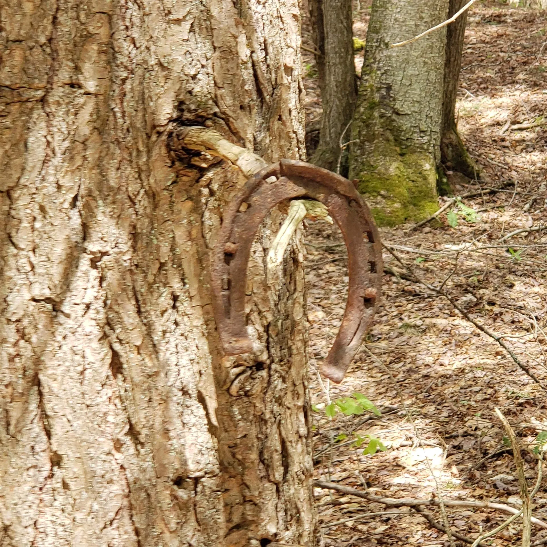 Tbd Waits River Road Bradford VT 05033