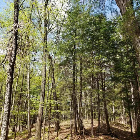 Tbd Waits River Road Bradford VT 05033