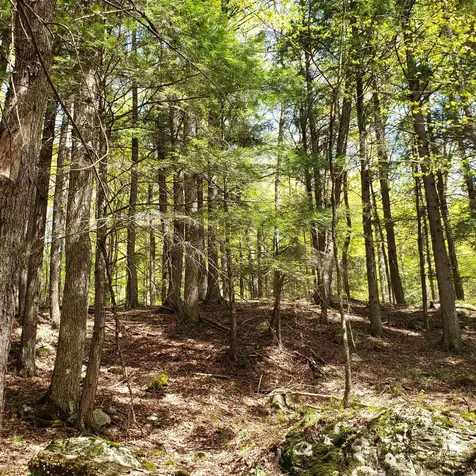 Tbd Waits River Road Bradford VT 05033