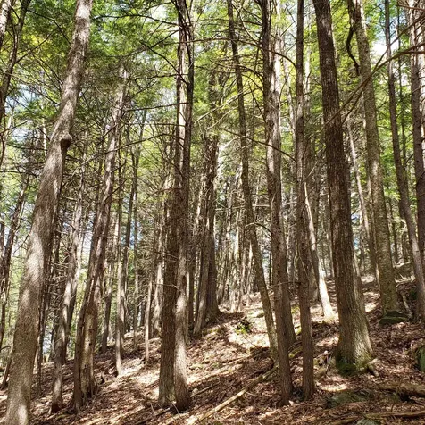 Tbd Waits River Road Bradford VT 05033