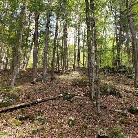 Tbd Waits River Road Bradford VT 05033