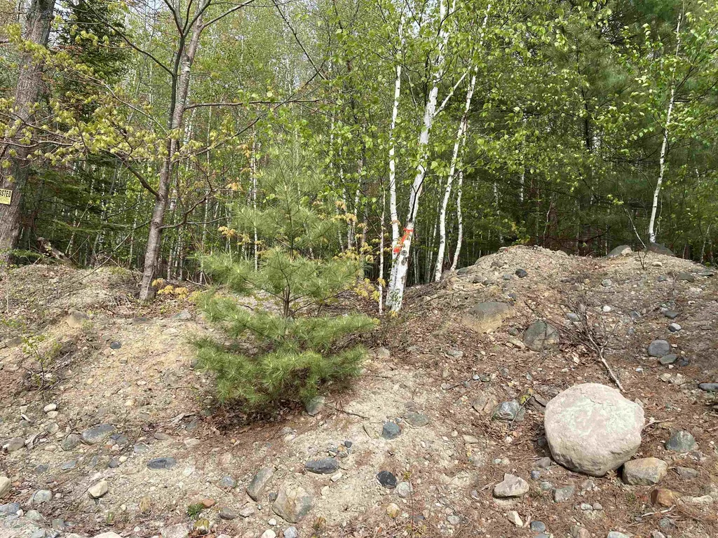 0 Birchwood Lane Canaan NH 03741