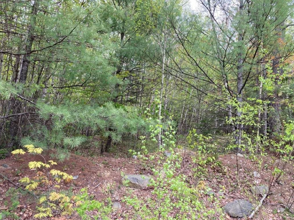 0 Birchwood Lane Canaan NH 03741