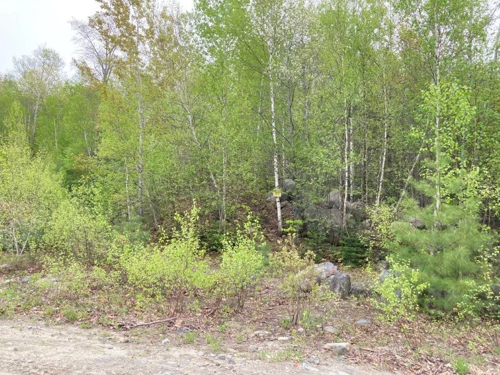 0 Birchwood Lane Canaan NH 03741