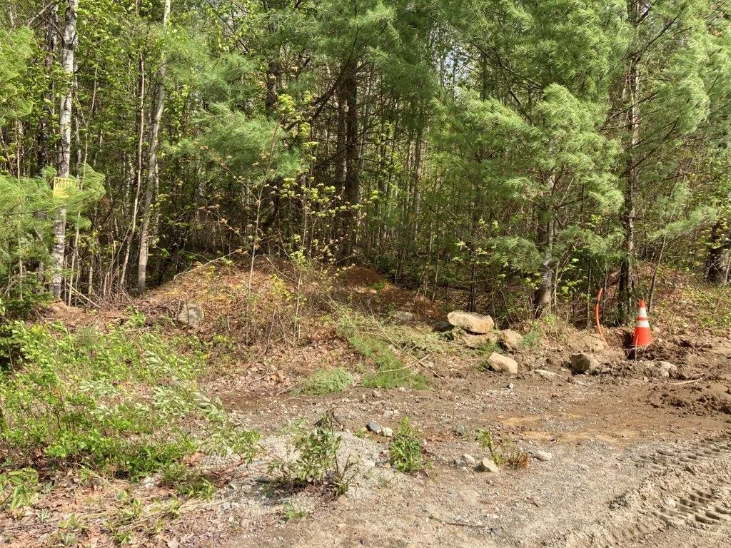 0 Birchwood Lane Canaan NH 03741