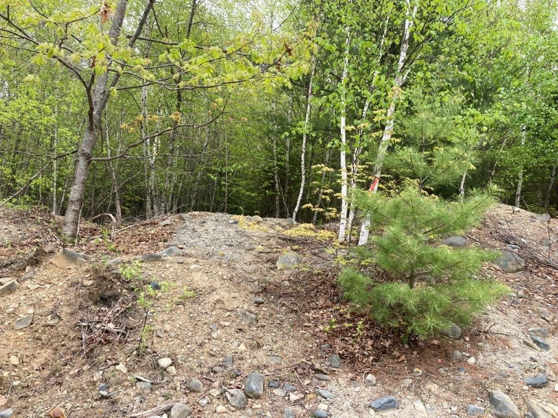0 Birchwood Lane Canaan NH 03741