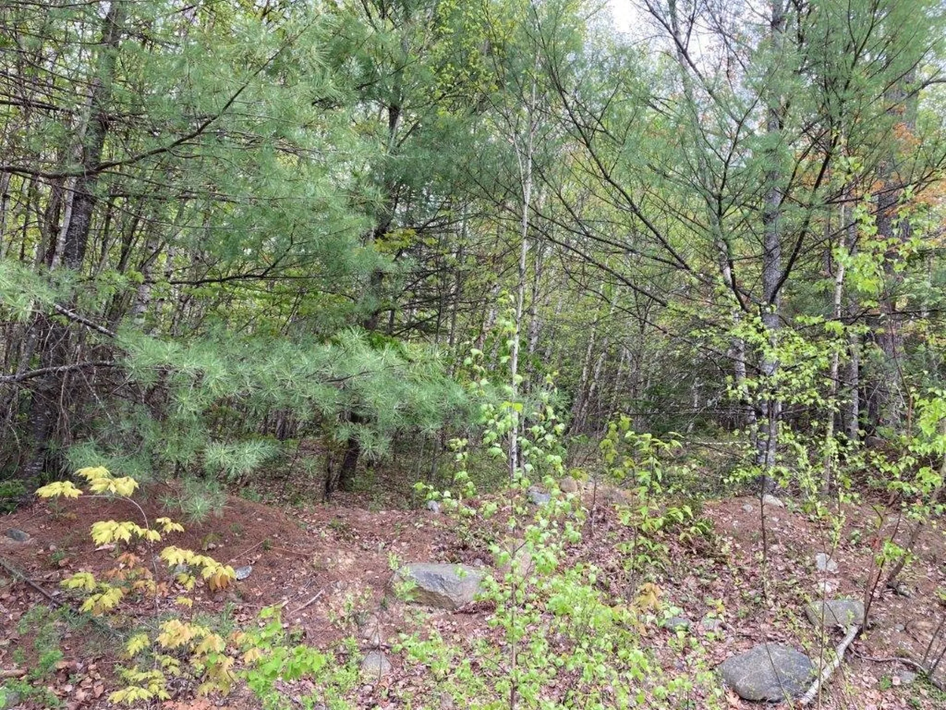 0 Birchwood Lane Canaan NH 03741